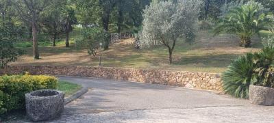 出售住房Santa Cristina d'Aro - 1982
