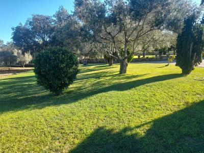 House for sale in Cabanyes-Mas Ambrós-Mas Pallí - 2016