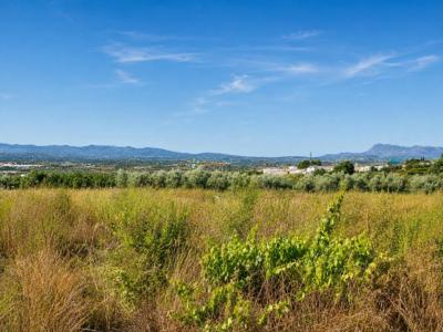 Finca zum verkauf in Guadasequies - PNVL2187