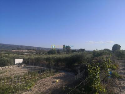 House for sale in Albaida - PNVL0038