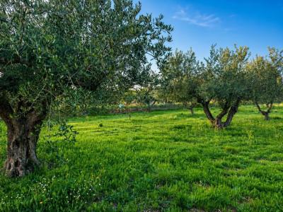 Villa à vendre à El Pilar - Santa Ana - PNVL2174