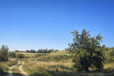 Plot for sale in Montaverner - PNPT295