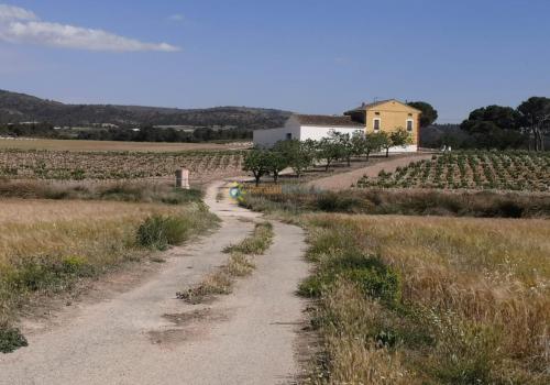 Villa zum verkauf in Villena - PNPT0012