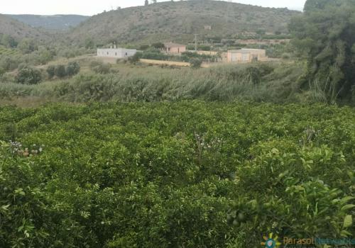 Plot for sale in Sellent - 15636368
