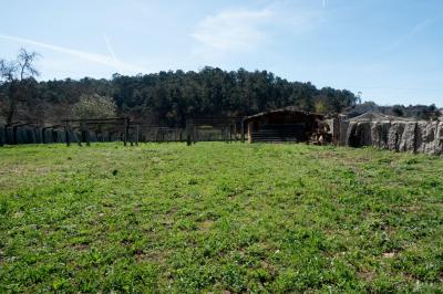 Chalet zum verkauf in Salceda de Caselas - DA01016