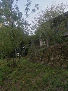 House for sale in Arbo - Da01005