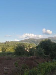 House for sale in Arbo - Da01005