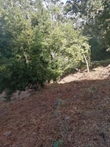 Country property for sale in Ponteareas - 351