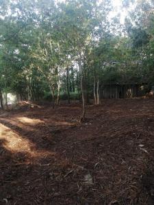Country property for sale in Ponteareas - 351