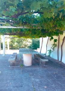 House for sale in Covelo - DA01017