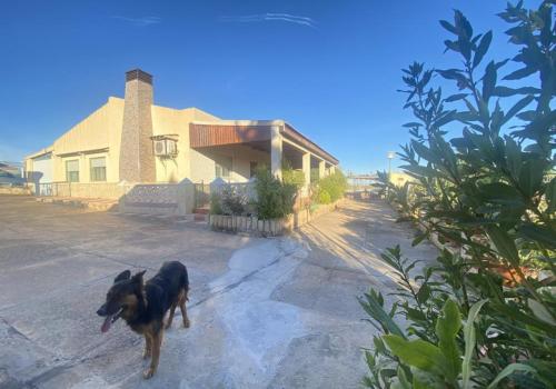 Venta en Murcia