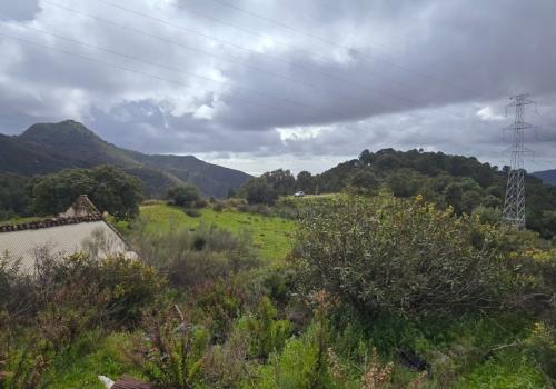 Terrenos en Benahavís