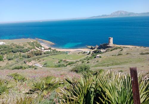 Lands in Cádiz