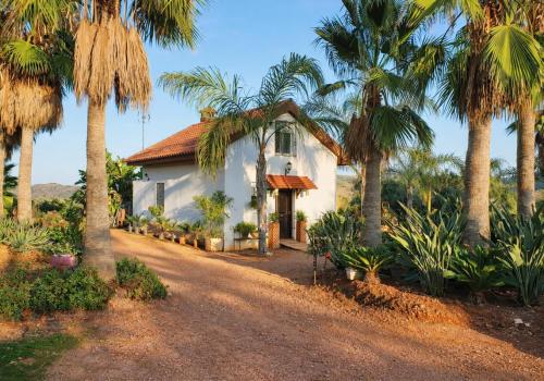 Properties in Guaro