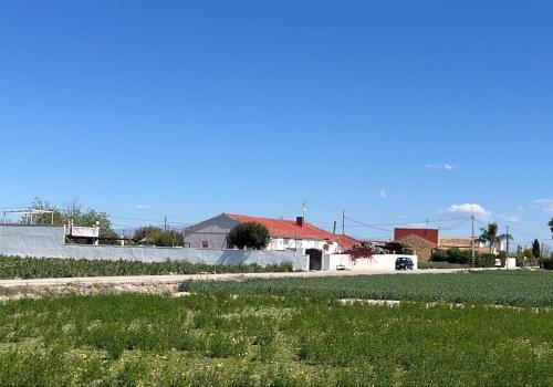 Viviendas en Dolores