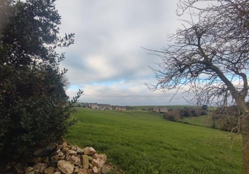Venta en Asturias