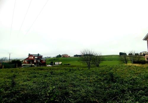 Lands in Asturias