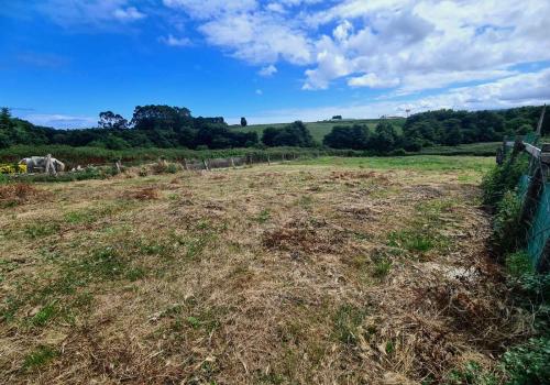 Plots in Asturias