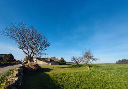Plots in Asturias