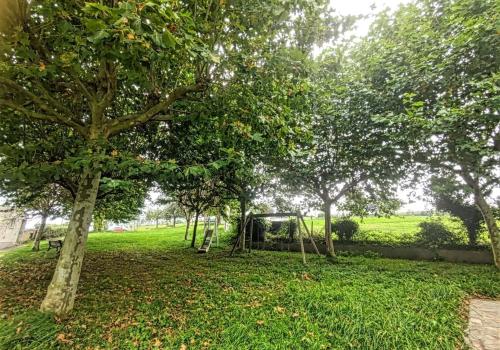 Terrenos en Castropol