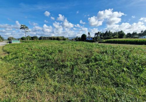 Plots in Asturias