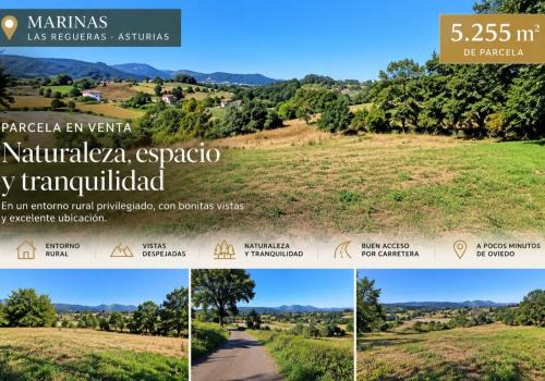 Plots in Asturias