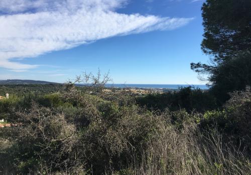 Tomt till salu i Sotogrande Alto - 428-00799P Tomt till salu i Sotogrande Alto - 428-00799P