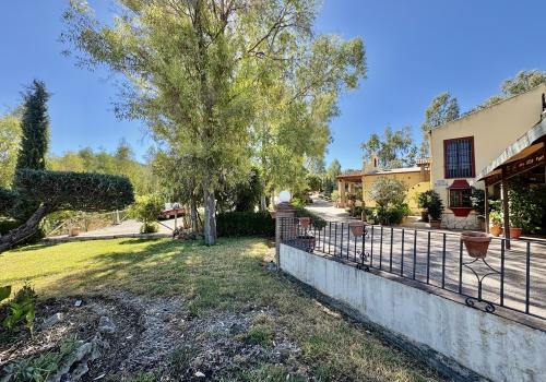 Properties in Olvera