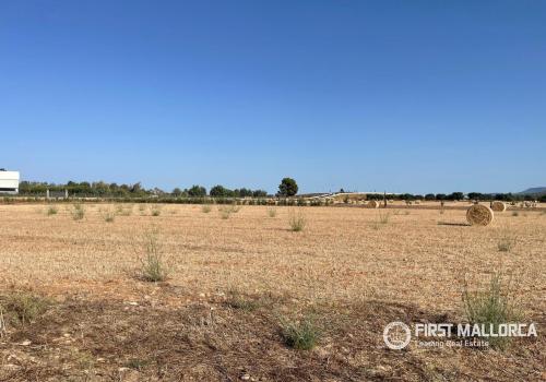 Building Sites in Baleares