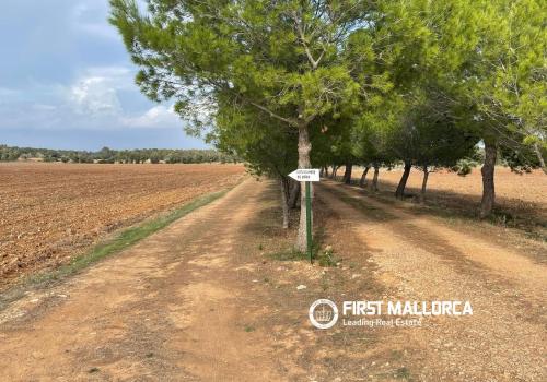 Venta en Baleares