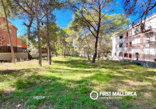 Properties in Calvià