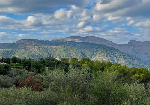 Properties in Baleares