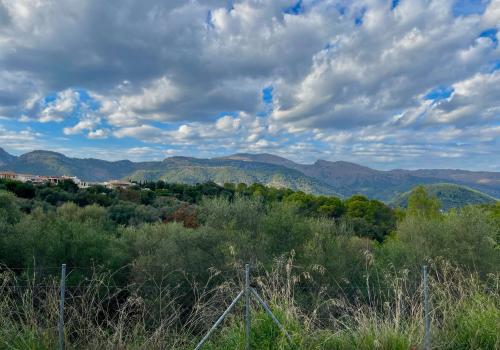 Properties in Baleares