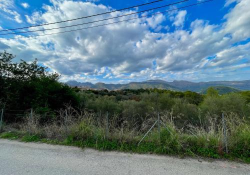 Properties in Baleares