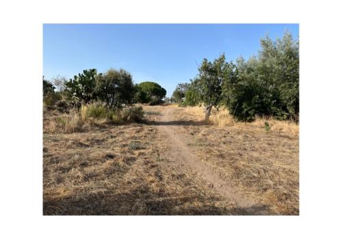 Lands in Valencia de Alcántara