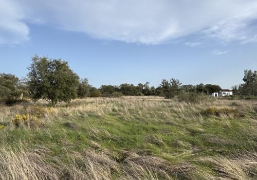 Properties in Badajoz