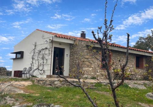 Houses in Cáceres