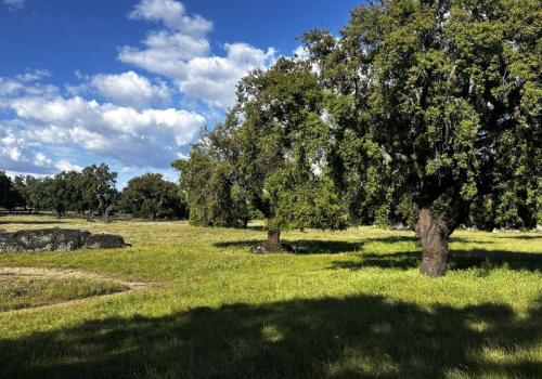 Inmuebles en Cáceres