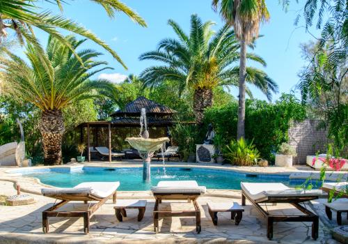 Properties in Ibiza