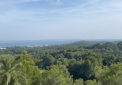 Viviendas en Palma de Mallorca