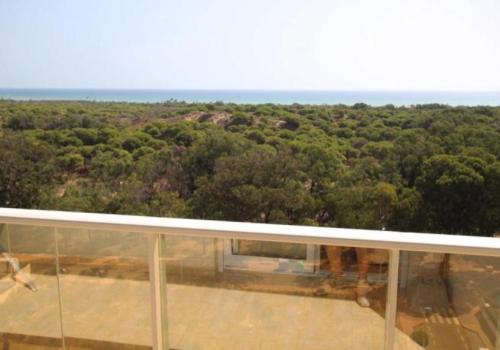 Venta en Guardamar del Segura