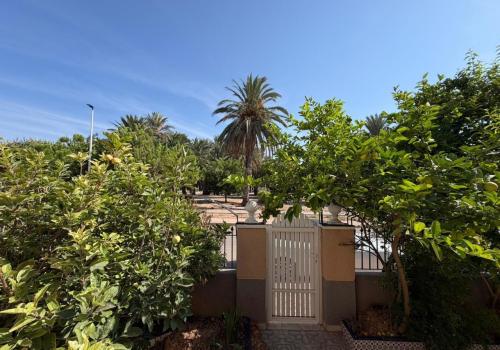 Homes in San Javier