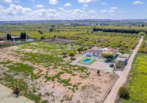 Properties in Los Montesinos