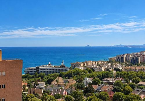 Apartments in Alicante