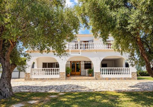 Properties in Alicante