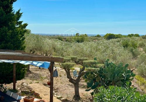Casas de Segunda mano en L' Ampolla