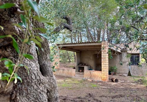 Fincas en El Perelló