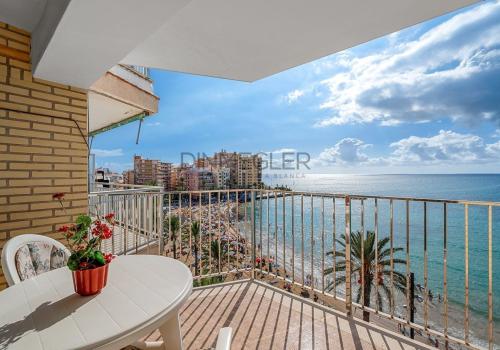 Viviendas en Torrevieja