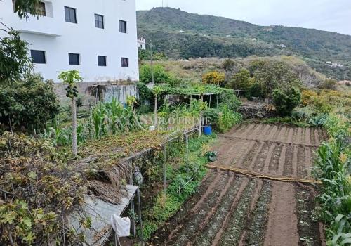 Houses in Tenerife