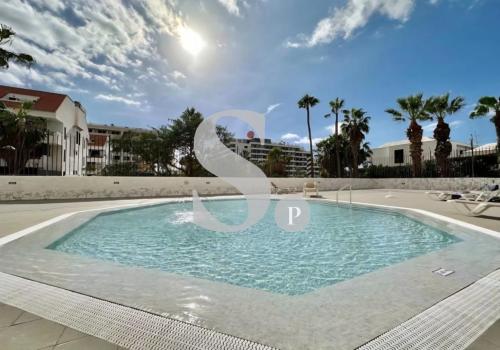 Properties for Rent in Adeje